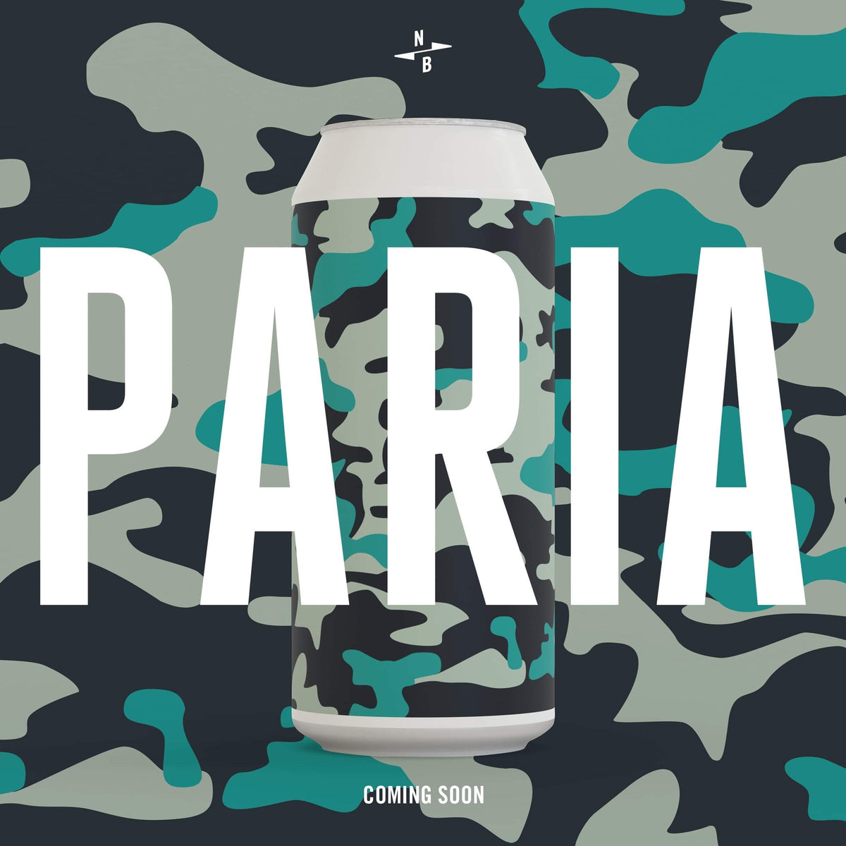 Paperboy 2019 : 3.0