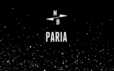 Paria-Paperboy 2020